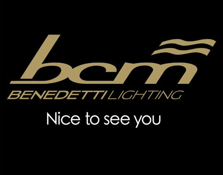 BCM logo image