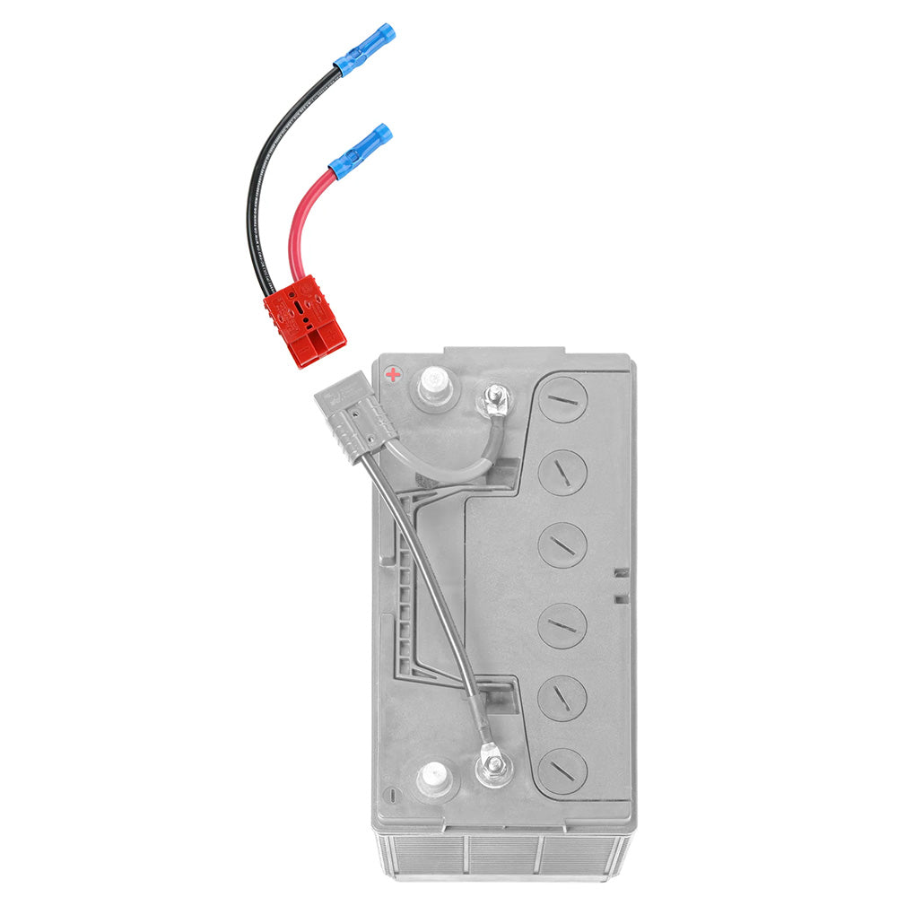 RCE12VB6
