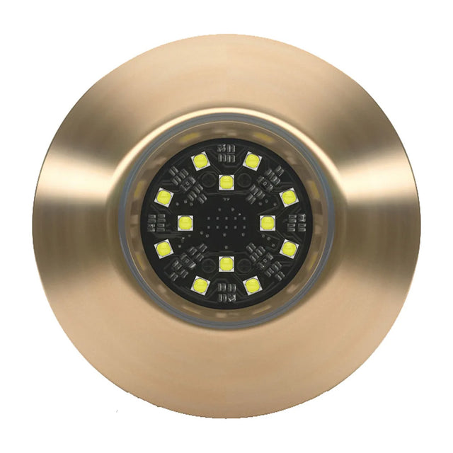 Lumishore ORA TIX404 White Interchangeable ThruHull 0100446700