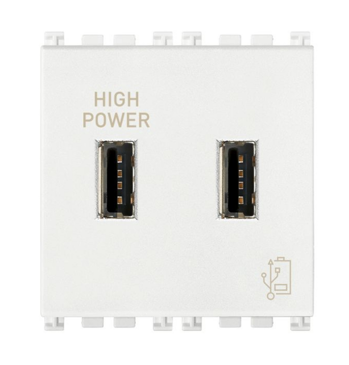 Vimar Arké 19295 USB Charging Outlet – Dual USB-A, 2.1A, 120/230V