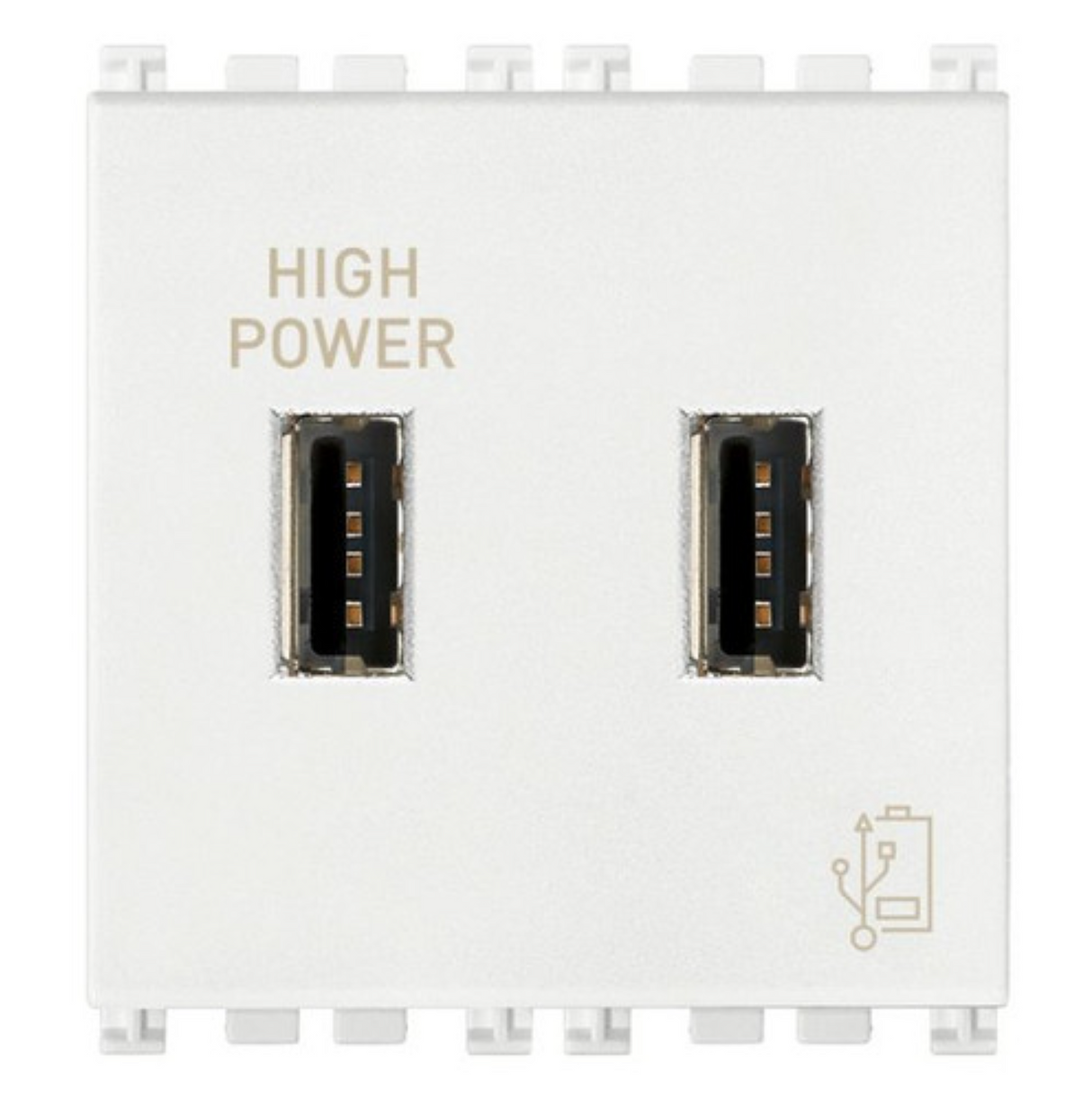Vimar Arké 19295 USB Charging Outlet – Dual USB-A, 2.1A, 120/230V