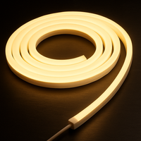 BCM - 5403 Side Wave Neonflex – 24VDC, IP68, Flexible LED Strip Light