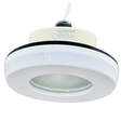 Corsica 3-15/16" Diameter Marine Lightwhite marine light with stainless bezel

