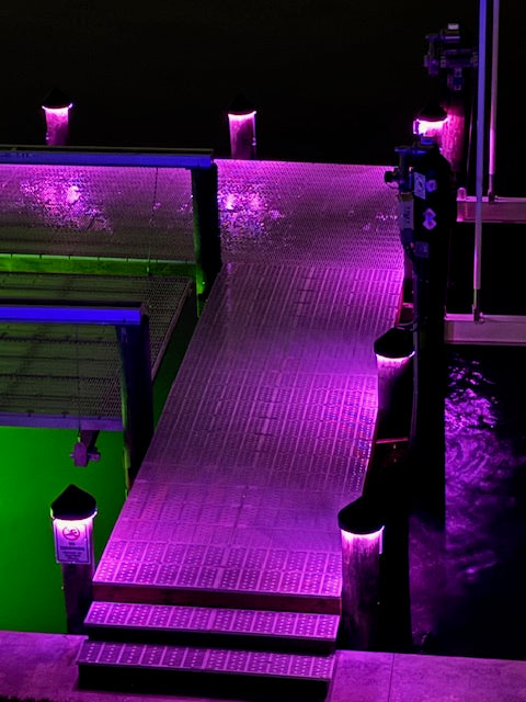12V black piling cap light with dynamic RGBW LED output lit blue at night

