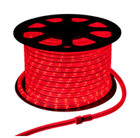 LED Rope Light – 3/8