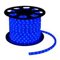 LED Rope Light - 1/2