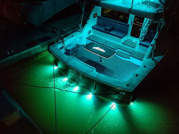 SeaBlaze Typhoon surface mount  Underwater Light in green led at night