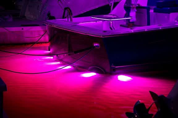 SeaBlaze Typhoon surface mount Underwater Light in pink led at night