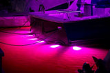 SeaBlaze Typhoon surface mount Underwater Light in pink led at night