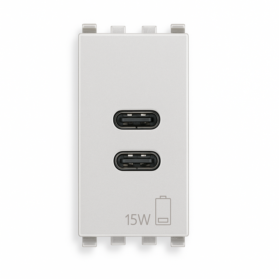 Vimar Eikon 20292  USB-C and USB- C
 silver finish front view