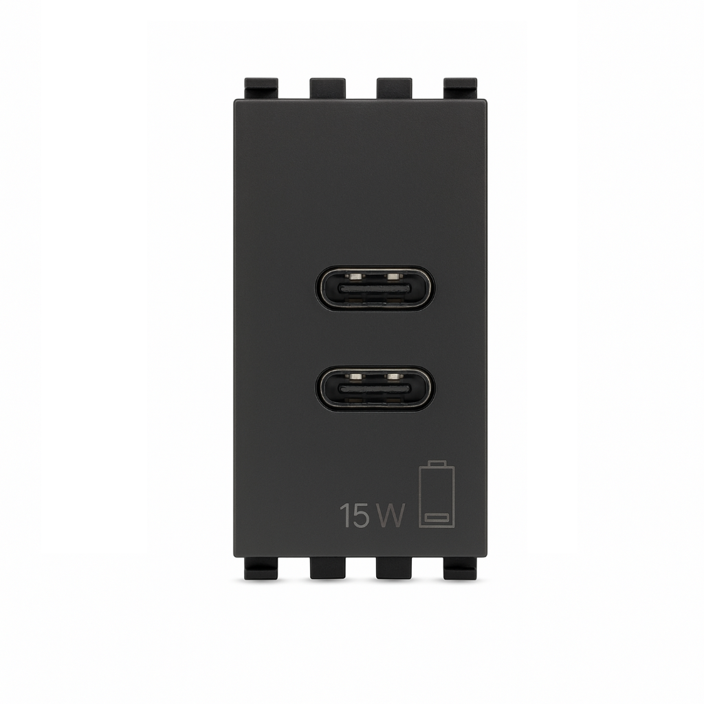 Vimar Eikon 20292.AC.15.N USB-C+USB-C with gray finish
