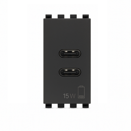 Vimar Eikon 20292.AC.15.N USB-C+USB-C with gray finish
