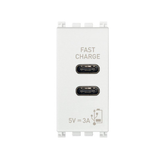 Vimar Eikon 20292.AC.15.N USB-C+USB-C with white finish
