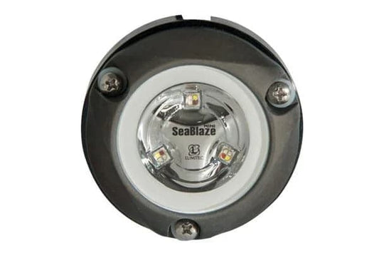 Zambezi Mini Surface Mount Underwater Light